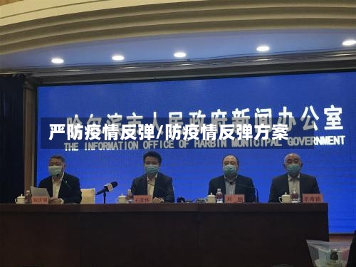 严防疫情反弹/防疫情反弹方案-第3张图片