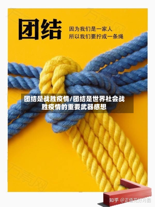 团结是战胜疫情/团结是世界社会战胜疫情的重要武器感想-第2张图片