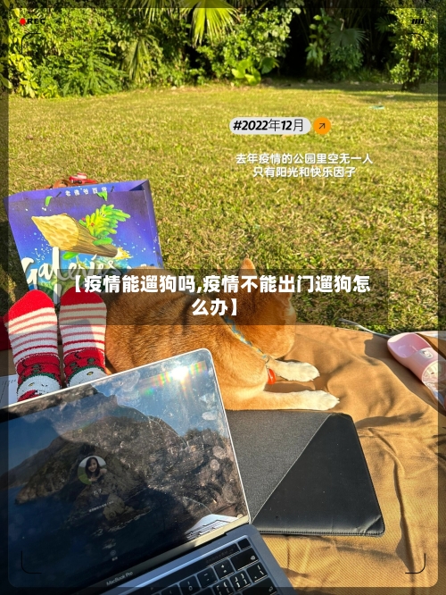 【疫情能遛狗吗,疫情不能出门遛狗怎么办】