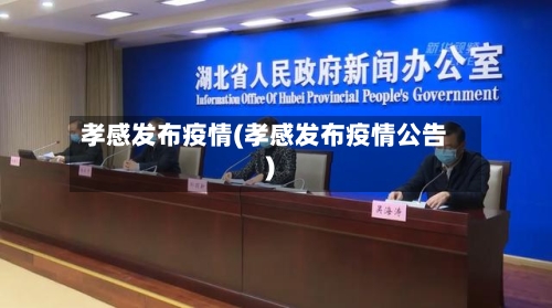 孝感发布疫情(孝感发布疫情公告)-第2张图片