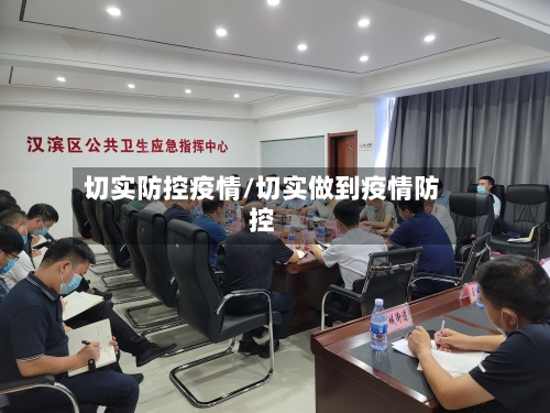 切实防控疫情/切实做到疫情防控