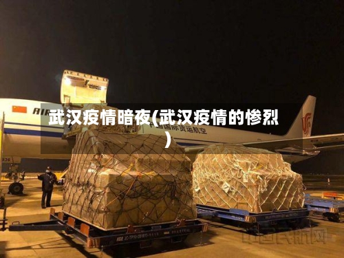 武汉疫情暗夜(武汉疫情的惨烈)-第2张图片