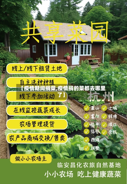 【疫情期间捐菜,疫情捐的菜都去哪里了】