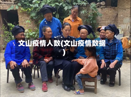 文山疫情人数(文山疫情数据)