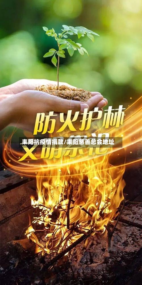 耒阳抗疫情捐款/耒阳慈善总会地址-第2张图片