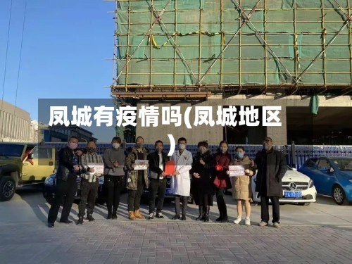 凤城有疫情吗(凤城地区)-第2张图片