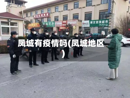 凤城有疫情吗(凤城地区)