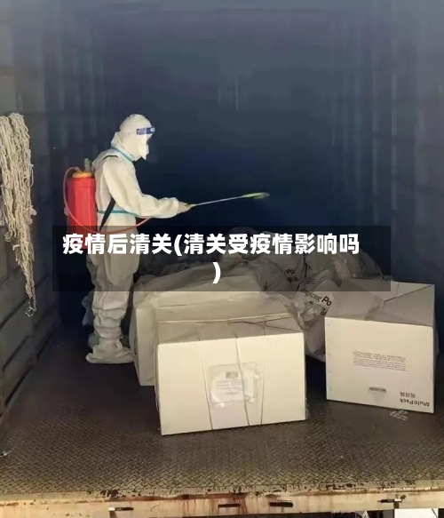 疫情后清关(清关受疫情影响吗)-第2张图片