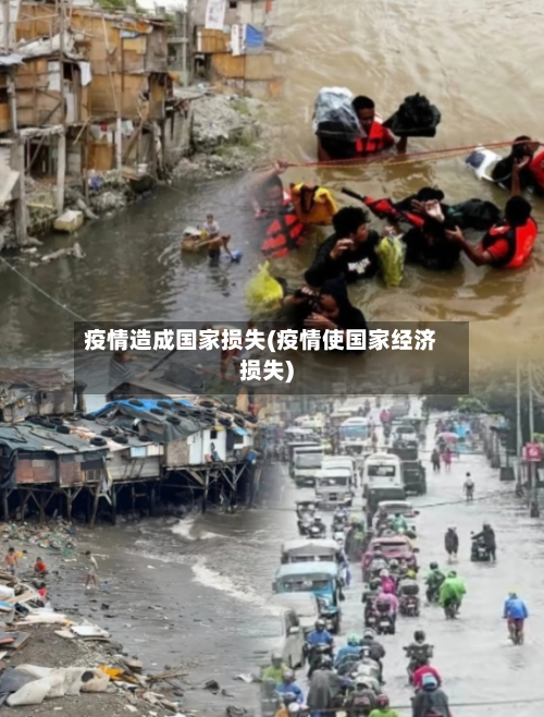 疫情造成国家损失(疫情使国家经济损失)