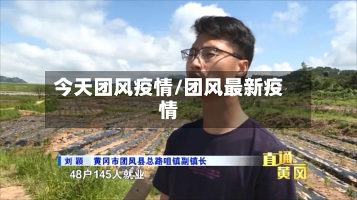 今天团风疫情/团风最新疫情-第2张图片