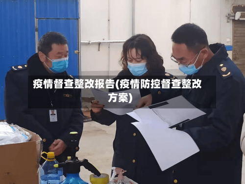 疫情督查整改报告(疫情防控督查整改方案)-第3张图片