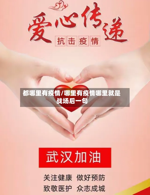 都哪里有疫情/哪里有疫情哪里就是战场后一句