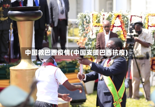 中国救巴西疫情(中国支援巴西抗疫)-第2张图片