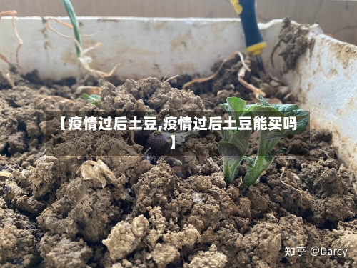 【疫情过后土豆,疫情过后土豆能买吗】