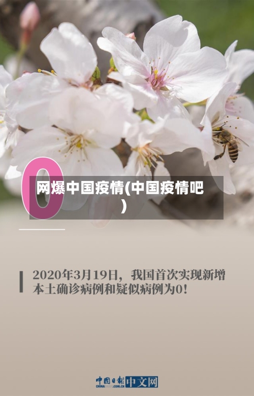网爆中国疫情(中国疫情吧)-第2张图片