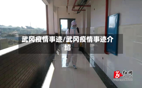 武冈疫情事迹/武冈疫情事迹介绍