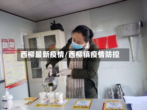 西柳最新疫情/西柳镇疫情防控