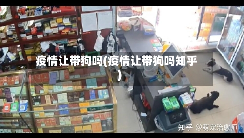 疫情让带狗吗(疫情让带狗吗知乎)-第2张图片