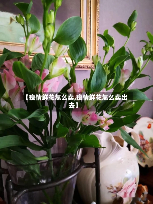 【疫情鲜花怎么卖,疫情鲜花怎么卖出去】-第2张图片