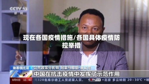 现在各国疫情措施/各国具体疫情防控举措