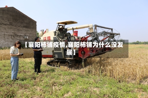 【襄阳柿铺疫情,襄阳柿铺为什么没发展】-第3张图片