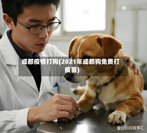 成都疫情打狗(2021年成都狗免费打疫苗)