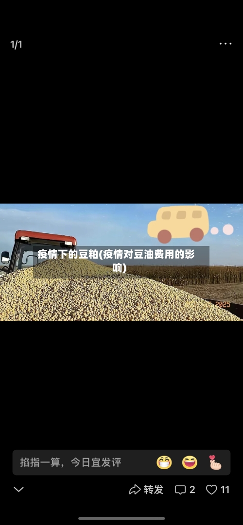 疫情下的豆粕(疫情对豆油费用的影响)