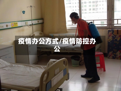 疫情办公方式/疫情防控办公-第2张图片