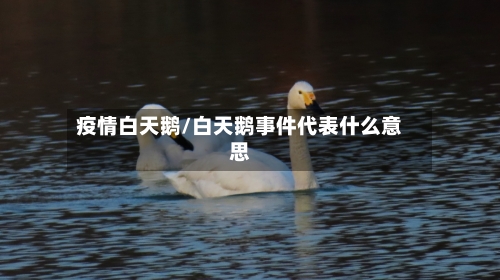 疫情白天鹅/白天鹅事件代表什么意思