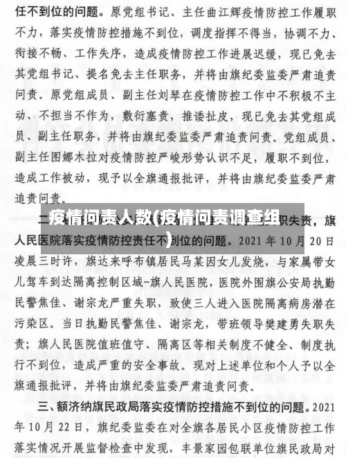 疫情问责人数(疫情问责调查组)