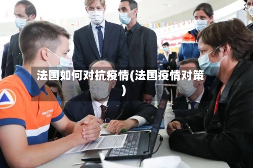 法国如何对抗疫情(法国疫情对策)-第3张图片