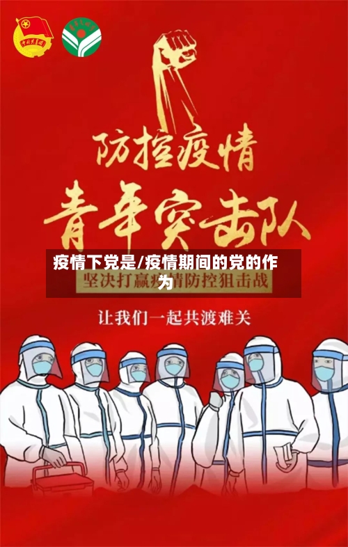 疫情下党是/疫情期间的党的作为