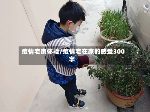 疫情宅家体验/疫情宅在家的感受300字-第2张图片