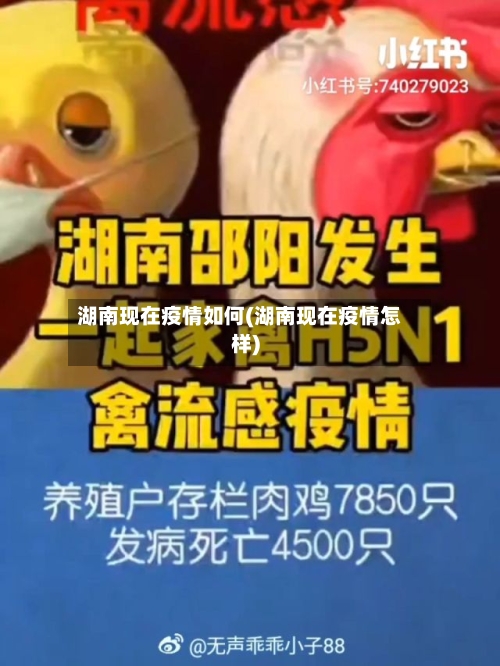 湖南现在疫情如何(湖南现在疫情怎样)-第3张图片