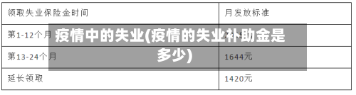 疫情中的失业(疫情的失业补助金是多少)-第2张图片