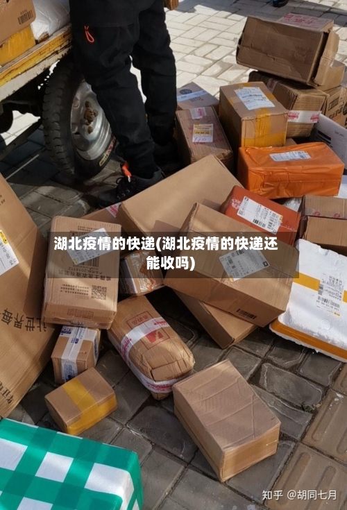 湖北疫情的快递(湖北疫情的快递还能收吗)-第2张图片