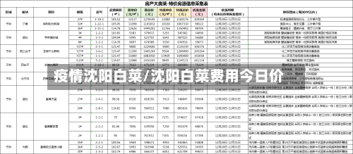疫情沈阳白菜/沈阳白菜费用今日价-第2张图片