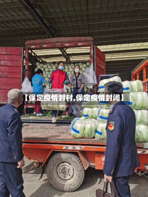 【保定疫情封村,保定疫情封闭】