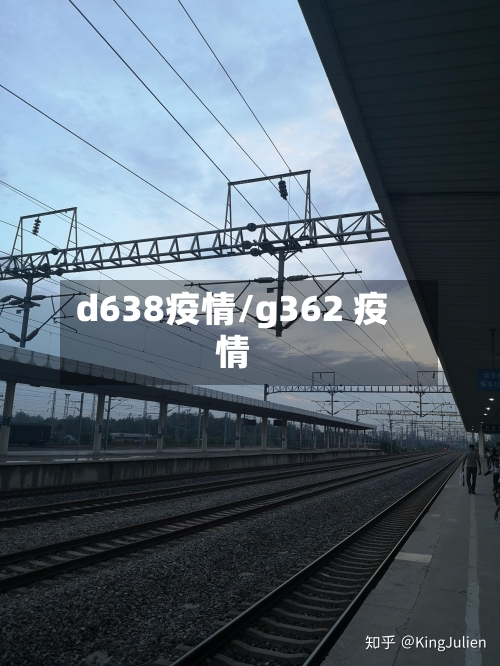 d638疫情/g362 疫情-第2张图片