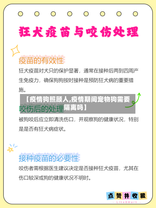 【疫情狗照顾人,疫情期间宠物狗需要隔离吗】-第3张图片