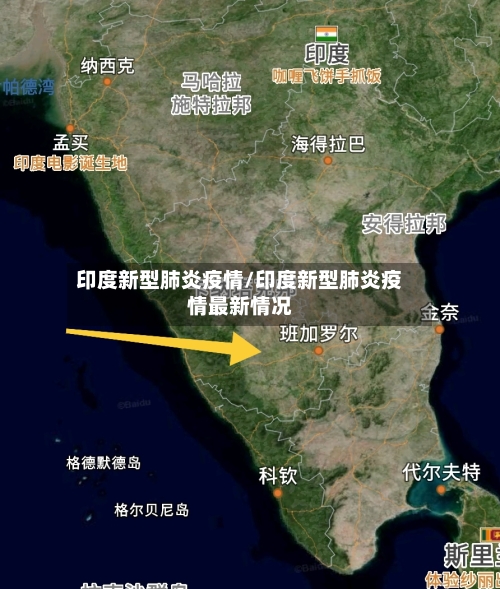 印度新型肺炎疫情/印度新型肺炎疫情最新情况
