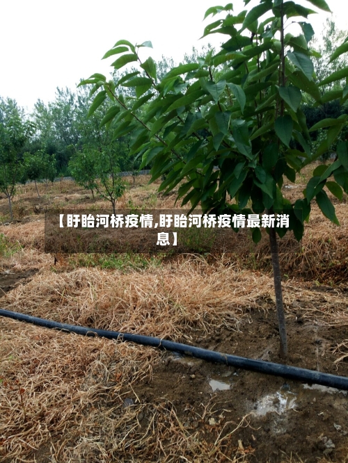 【盱眙河桥疫情,盱眙河桥疫情最新消息】-第3张图片