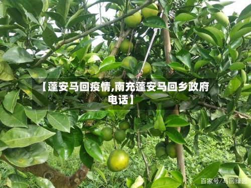 【蓬安马回疫情,南充蓬安马回乡政府电话】