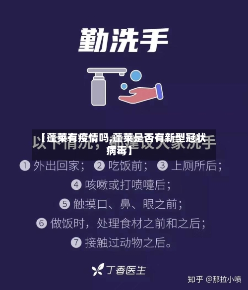 【蓬莱有疫情吗,蓬莱是否有新型冠状病毒】