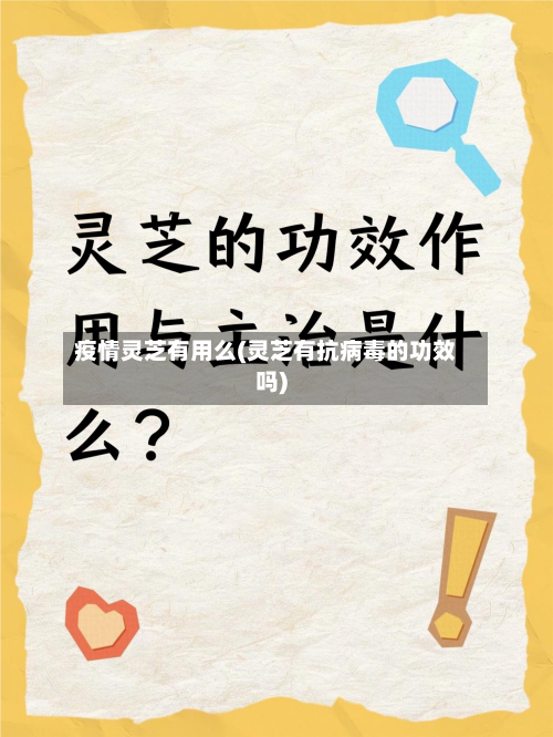 疫情灵芝有用么(灵芝有抗病毒的功效吗)-第2张图片