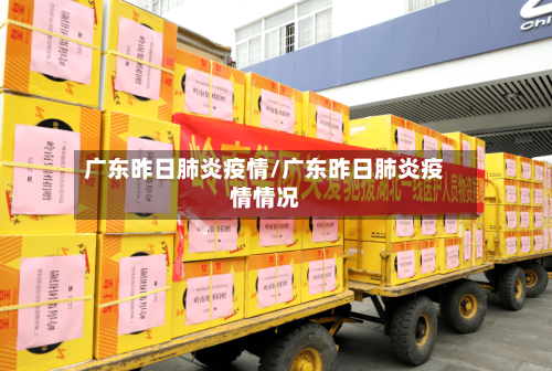 广东昨日肺炎疫情/广东昨日肺炎疫情情况-第3张图片