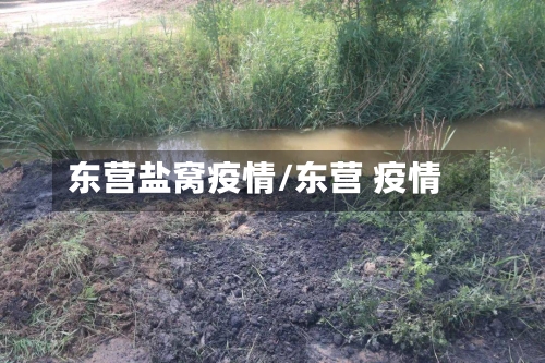 东营盐窝疫情/东营 疫情-第3张图片