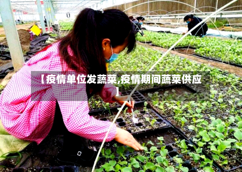 【疫情单位发蔬菜,疫情期间蔬菜供应】-第2张图片