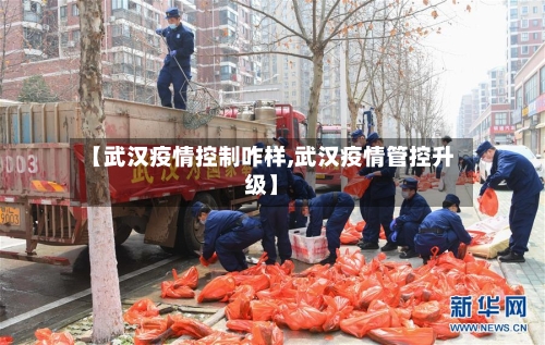 【武汉疫情控制咋样,武汉疫情管控升级】-第2张图片