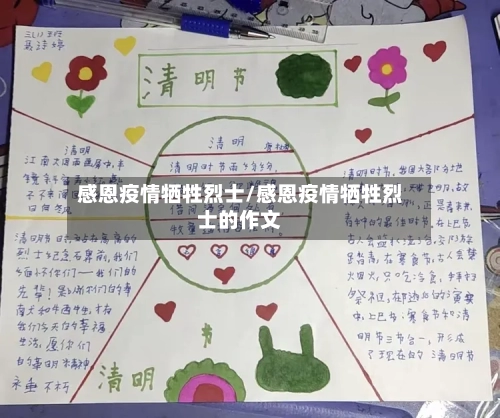 感恩疫情牺牲烈士/感恩疫情牺牲烈士的作文-第2张图片